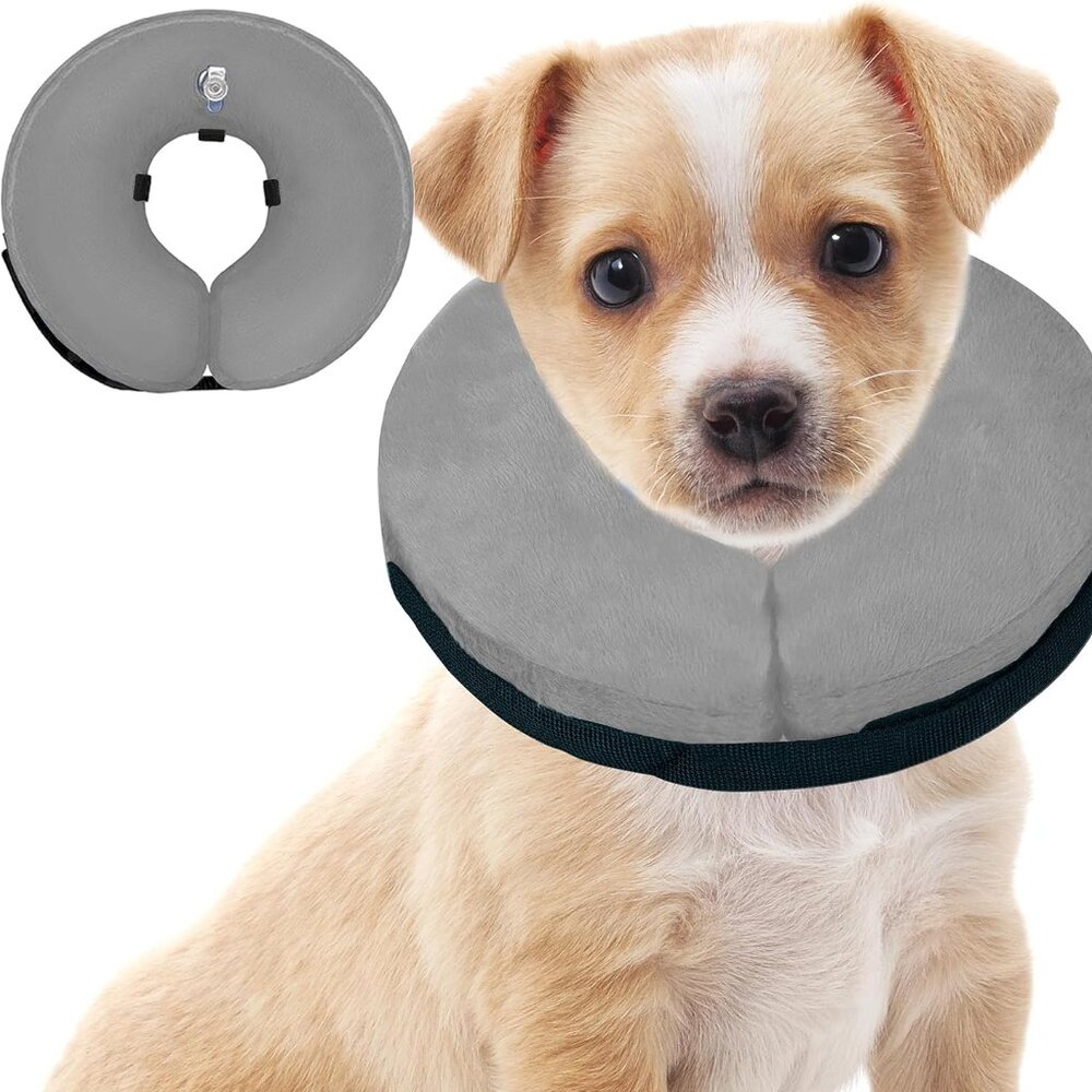 Dog Medical Collar: Inflatable Recovery Collar, Small
